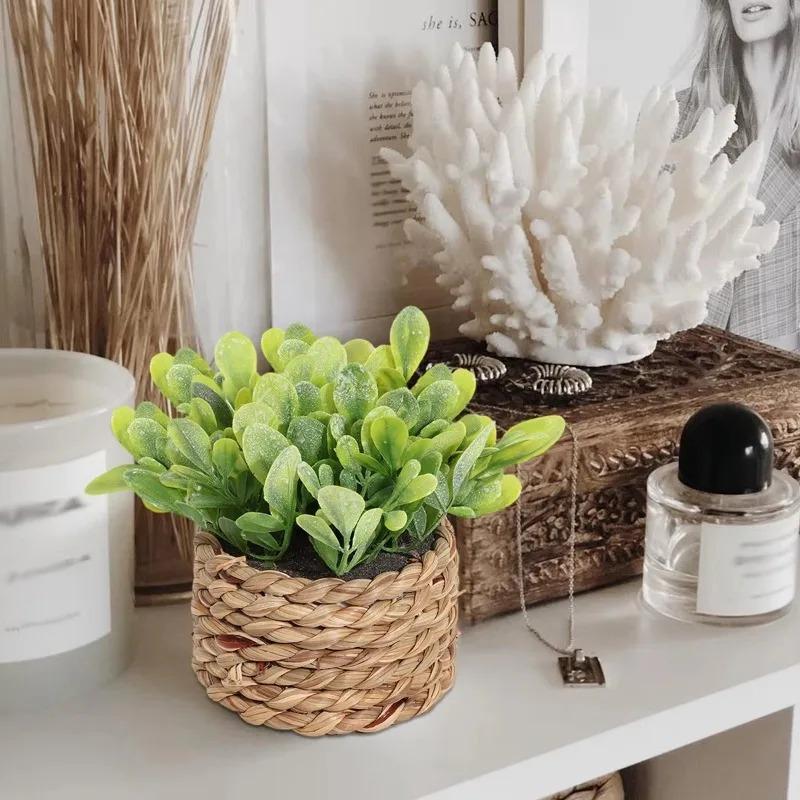 1Pc Potted Plant Small Fake Pl - Home Office Layout review and price
